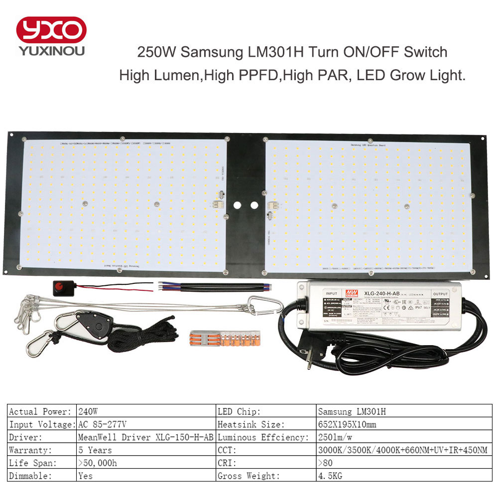 Sam-ng LM301H V2 LED ,    LED ..
